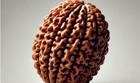 A Comprehensive Guide to Choosing the Right Faced Rudraksha for You