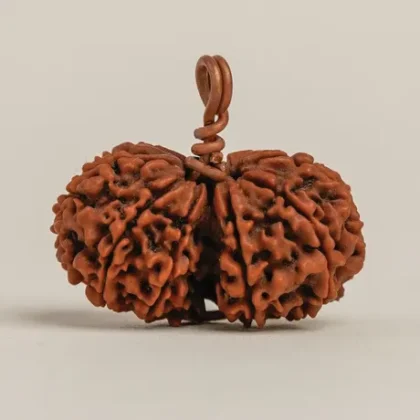 Rudraksha