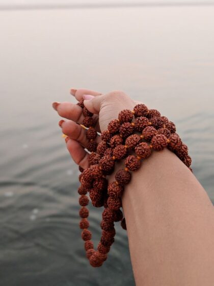 7 Mukhi Rudraksha Bracelet